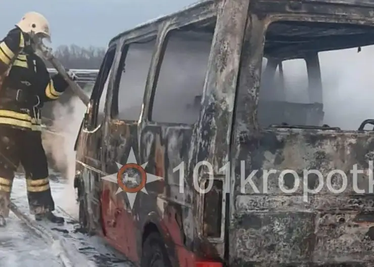 https://ognikubani.ru/wp-content/uploads/2022/02/ognikubani.ru-1-3