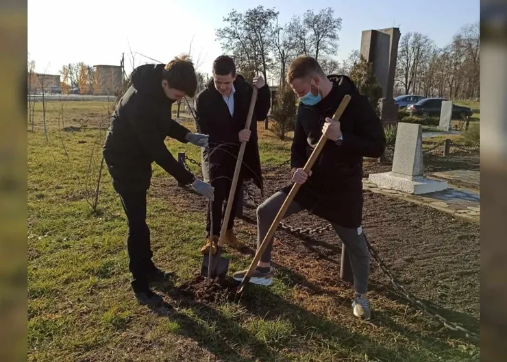 https://ognikubani.ru/wp-content/uploads/2020/12/Дизайн-без-названия-5