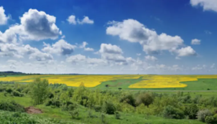 http://www.ognikuban.tw1.ru/wp-content/uploads/2017/03/kuban_nature323455