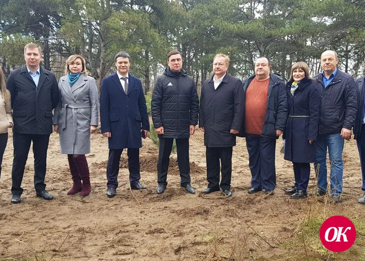 В сосновом бору Кропоткина высажены сосны