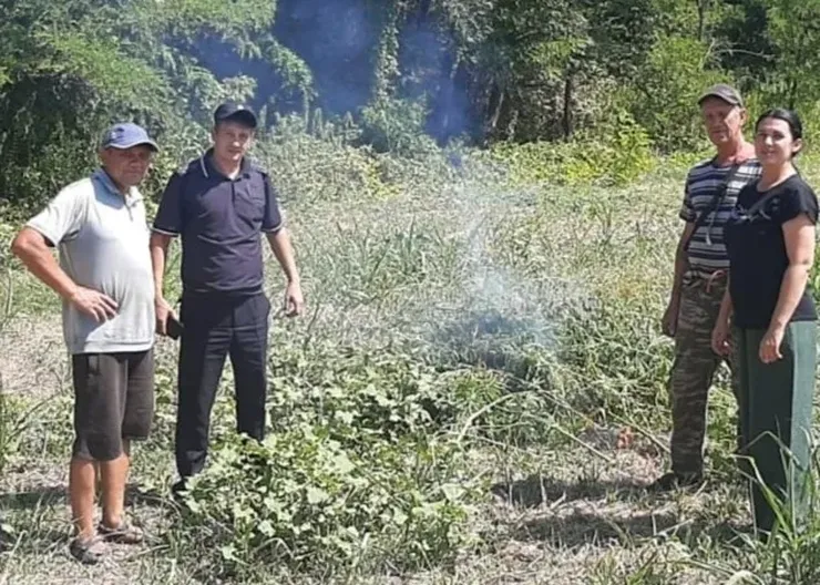 В Кавказском районе полицейские выявляют очаги дикорастущей конопли В