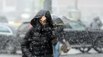 https://ognikubani.ru/wp-content/uploads/2020/02/44d54a4c9f438c4534ba7bceea371627
