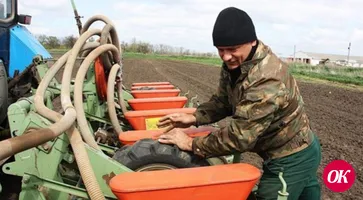 Сельхозпроизводители заканчивают уборку пропашно-технических культур