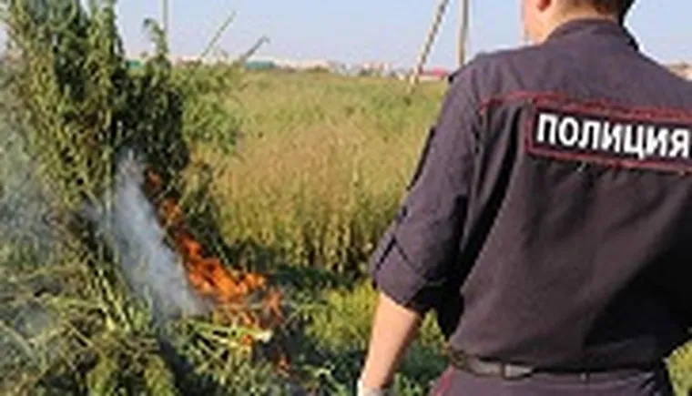 https://ognikubani.ru/wp-content/uploads/2023/07/МАК-1
