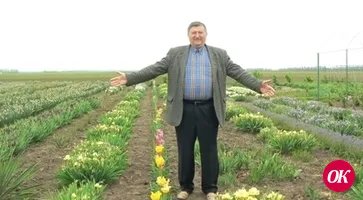 Чудеса не про нас