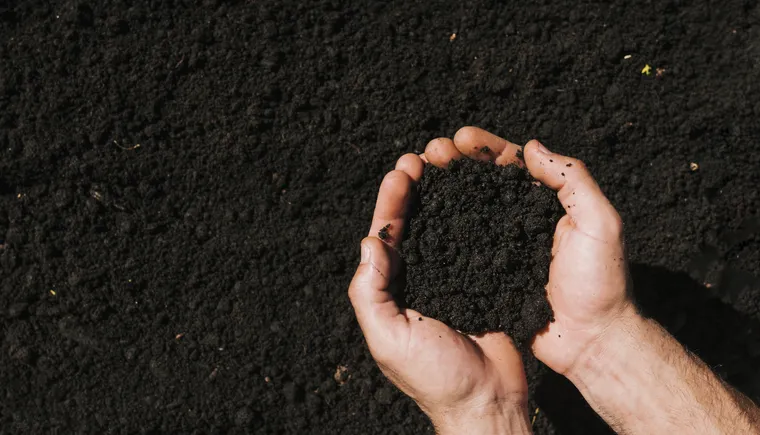 https://ognikubani.ru/wp-content/uploads/2023/03/flat-lay-hands-holding-soil
