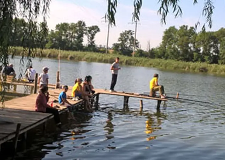 http://www.ognikuban.tw1.ru/wp-content/uploads/2016/08/WP_20160807_08_22_15_Pro1