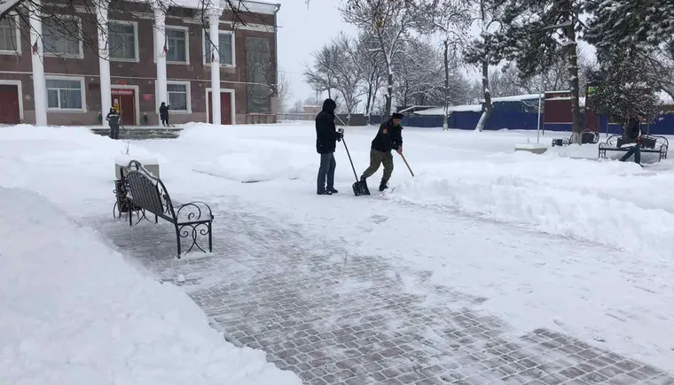 https://ognikubani.ru/wp-content/uploads/2021/02/PHOTO-2021-02-16-10-25-00
