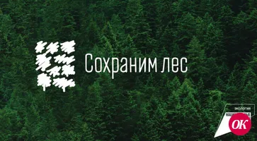100 кленов от лидеров общественного мнения