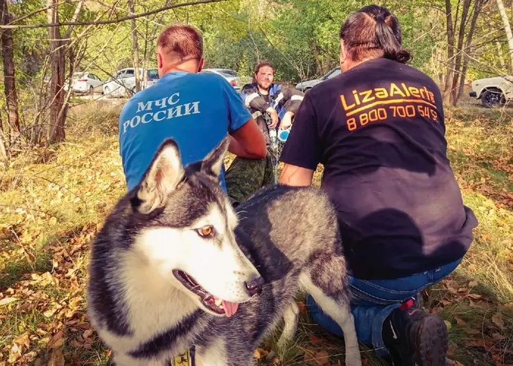 https://ognikubani.ru/wp-content/uploads/2022/02/ognikubani.ru-2-15