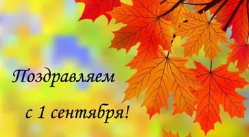 https://ognikubani.ru/wp-content/uploads/2022/09/1sent14