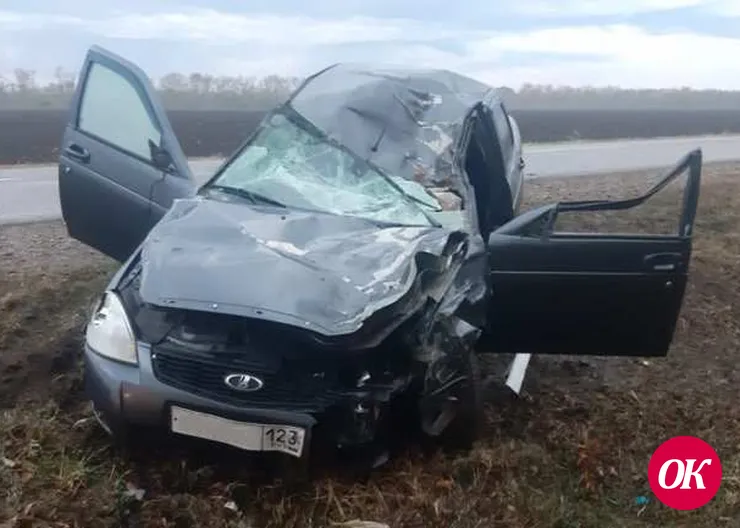 В Гулькевичском районе легковушка сбила 8 человек, 5 из них погибли