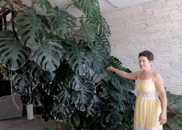 https://ognikubani.ru/wp-content/uploads/2020/09/118504617_184538039775528_7388415967565272511_n.mp4_snapshot_01.05.965
