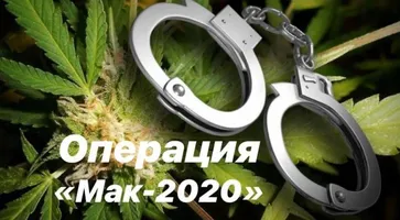 https://ognikubani.ru/wp-content/uploads/2020/08/операция-МАК-2020