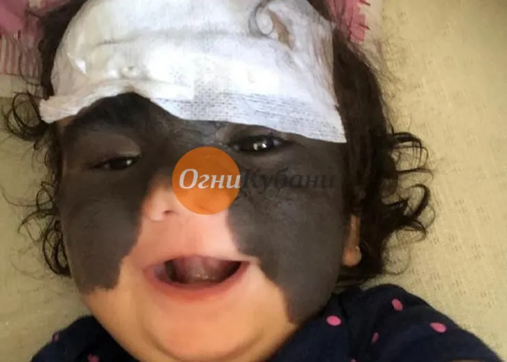 https://ognikubani.ru/wp-content/uploads/2019/10/inx960x640