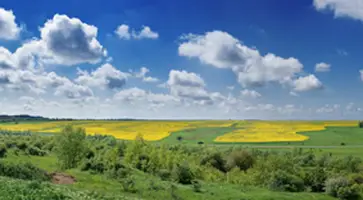 http://www.ognikuban.tw1.ru/wp-content/uploads/2017/03/kuban_nature323455