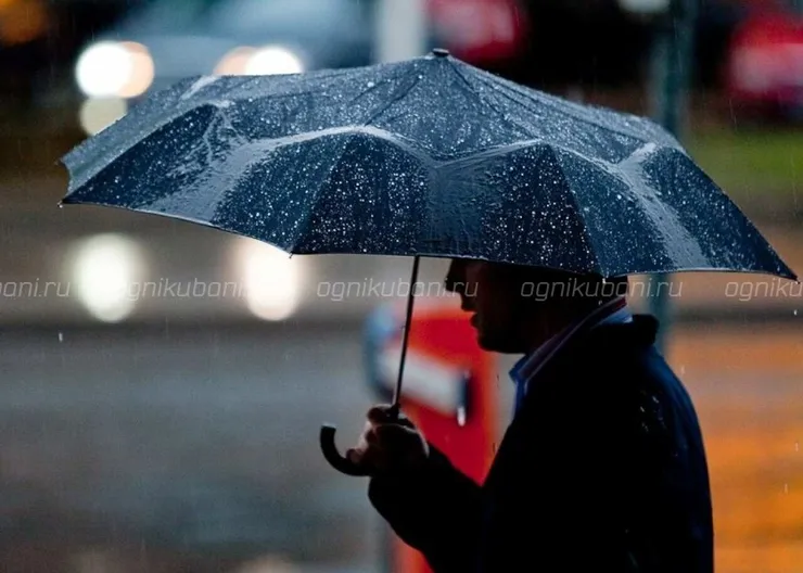 https://ognikubani.ru/wp-content/uploads/2020/02/kurbus-sugis-vihm-vihmavari-83097525