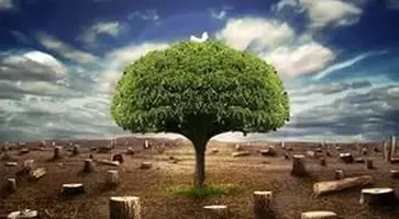 http://www.ognikuban.tw1.ru/wp-content/uploads/2017/02/inovoseltzev333