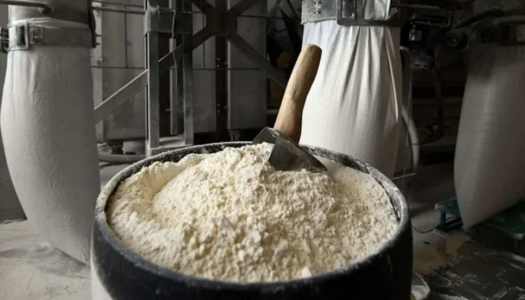 https://ognikubani.ru/wp-content/uploads/2022/03/ognikubani.ru-8-4