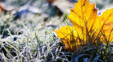 https://ognikubani.ru/wp-content/uploads/2019/10/do_minus_2_gradusov_pokholodaet_v_chelyabinskoy_oblasti_