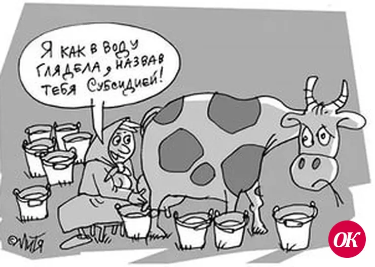 Бюджет за малых