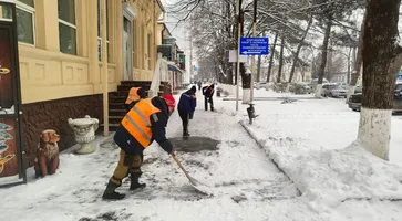 photo_2025-02-24_14-23-17