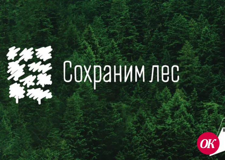 100 кленов от лидеров общественного мнения