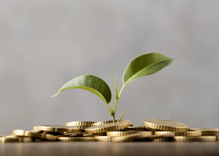 https://ognikubani.ru/wp-content/uploads/2023/02/front-view-of-plant-growing-from-golden-coins