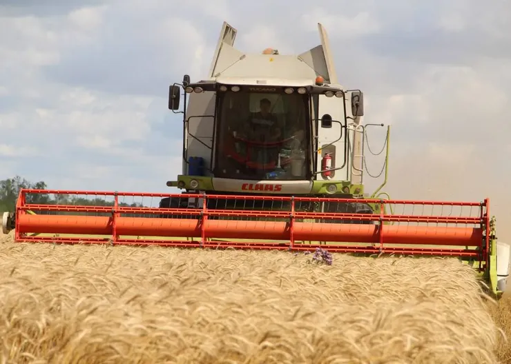 photo_2025-07-14_14-23-25