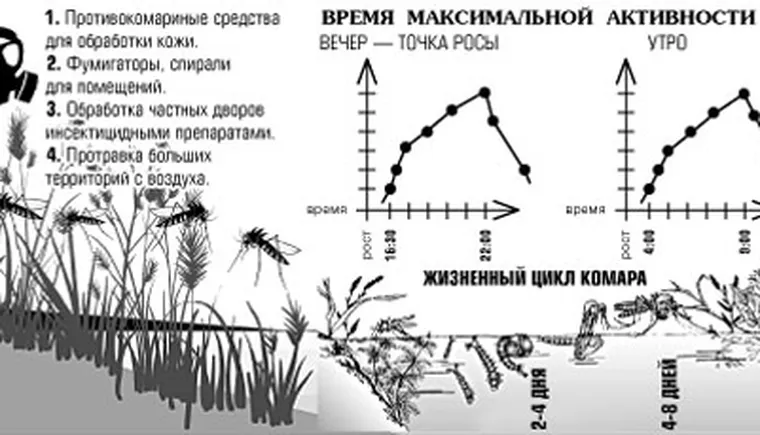 http://www.ognikuban.tw1.ru/wp-content/uploads/2017/06/Ogni_Kuban_270617_4