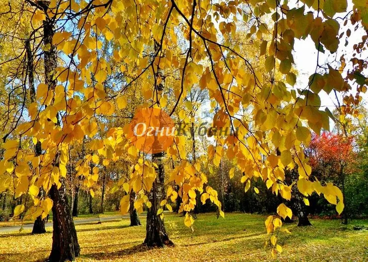 https://ognikubani.ru/wp-content/uploads/2019/09/7355c7578613a9e788a920a27e9a76f6