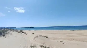 VID_20250417_124900.mp4_snapshot_00.06.015