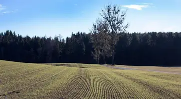 https://ognikubani.ru/wp-content/uploads/2022/04/ognikubani.ru-2-1