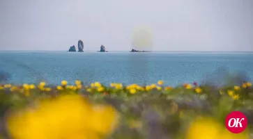 Как оживает таинственный заповедник на востоке Крыма