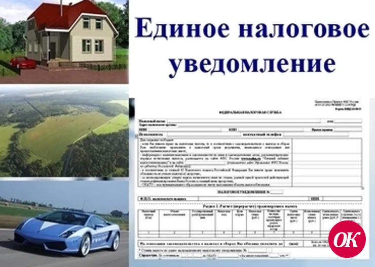 Проверь ставки, уточни льготы