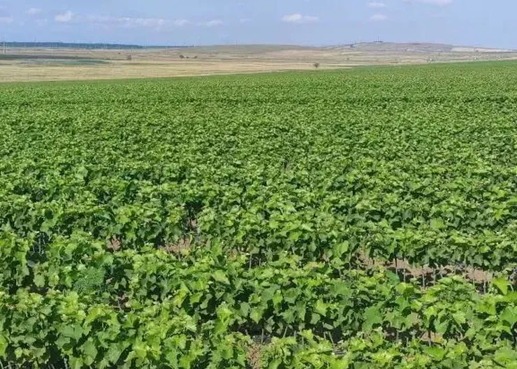 photo_2025-08-28_16-01-55