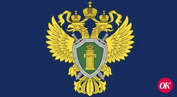 Прокуратурой района выявлены нарушения содержания улично-дорожной сети вблизи образовательных учреждений