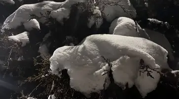 5332362199504645755