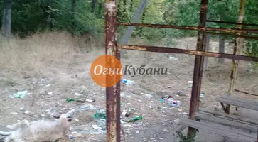 https://ognikubani.ru/wp-content/uploads/2019/10/WhatsApp-Image-2019-10-08-at-13.30.50