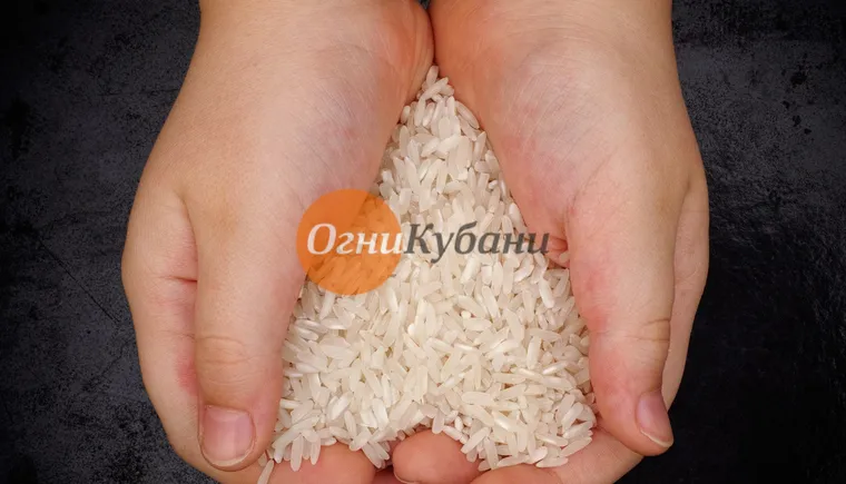 https://ognikubani.ru/wp-content/uploads/2019/09/Fotolia_80462369_Subscription_Monthly_M