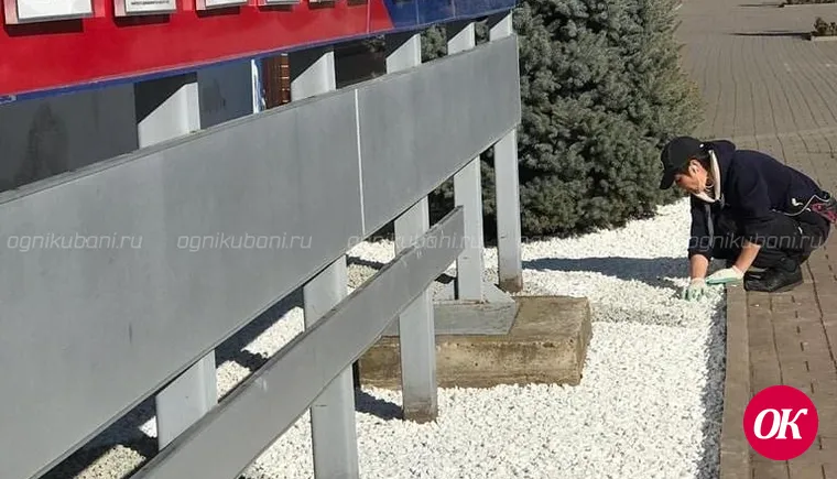 Ландшафтные дизайнеры взялись украсить Кропоткин