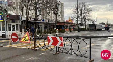 Коллектор вновь терроризирует Кропоткин