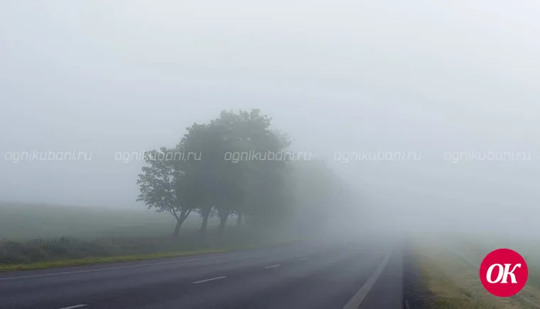 В середине недели в Краснодарском крае ожидается туман и до +17°С
