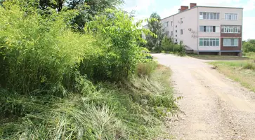 https://ognikubani.ru/wp-content/uploads/2022/06/IMG_6867_1
