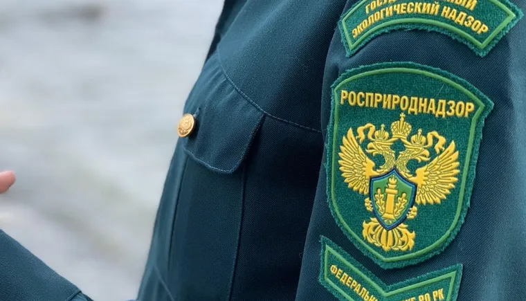 https://ognikubani.ru/wp-content/uploads/2023/07/pkku-3