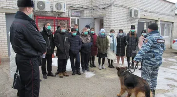 https://ognikubani.ru/wp-content/uploads/2022/01/ognikubani.ru-9-2