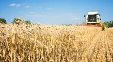 https://ognikubani.ru/wp-content/uploads/2022/12/combine-harvester-working-wheat-field-1_1