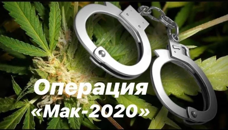 https://ognikubani.ru/wp-content/uploads/2020/08/операция-МАК-2020