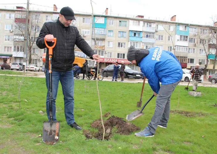 https://ognikubani.ru/wp-content/uploads/2021/04/ognikubani.ru-37