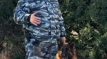 КАЛЕСНИК